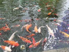 -春满园·早茶·粤菜·宴会(前海店)