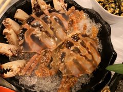 -鲜入围煮花胶鸡海鲜火锅