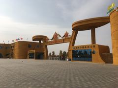 -金塔沙漠胡杨林景区