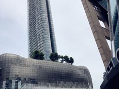 -爱雍·乌节
