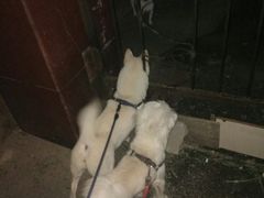 -老熟人串吧家常菜(旧宫店)