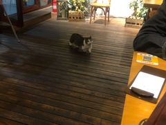 -IFIF 如果花園(宽厚里店)