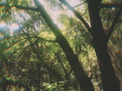 -佛慧山