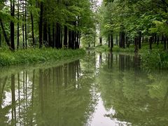 -西溪国家湿地公园