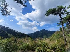 -四明山国家森林公园