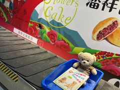 -丽江三义国际机场