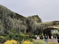 -府河摄影公园
