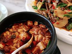 -陈麻婆豆腐总店