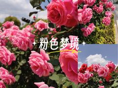 -同德昆明广场购物中心