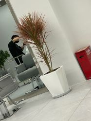 -P.STYLE派斯造型