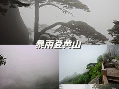-黄山风景区