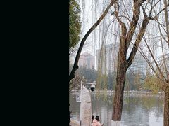 -翠湖公园