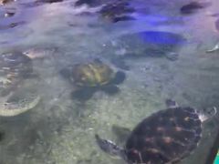 -鸿通城购物中心