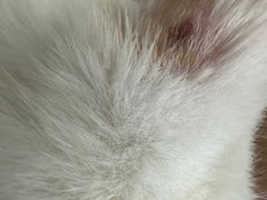 -乐宠宠物店(世纪金源店)