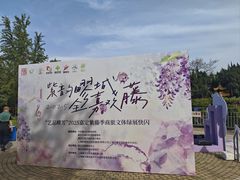 -嘉定紫藤园