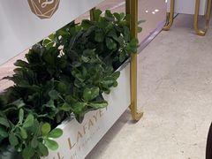 -PAUL LAFAYET 法式甜品(港汇广场店)