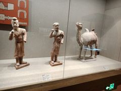 -敦煌市博物馆