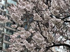 -红星桥(地铁站)