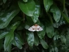 -中国海洋大学游泳馆