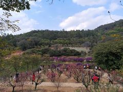 -南国桃园旅游度假区