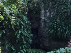 -北京植物园-展览温室