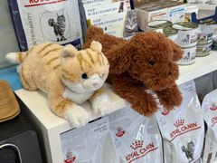 -爱妮康宠物医院·干细胞免疫细胞·肿瘤·心脏(张江店)