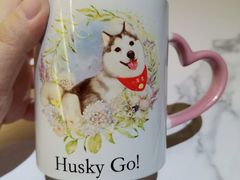 小苹果-Husky Go! 哈士奇体验馆·宠物咖啡厅狗咖