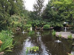 -斐兹洛伊花园