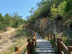 -白水寺森林公园