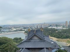 -张钰强中医正骨推拿连锁(唐家人才公寓店)