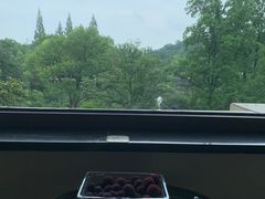 -杭州花家山庄