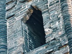 -上海佘山国家森林公园天马山园