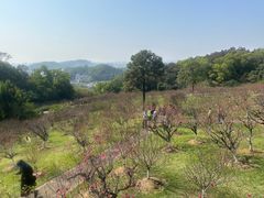 -广州莲花山旅游区