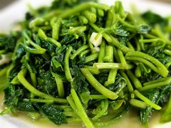-领鲜土菜馆