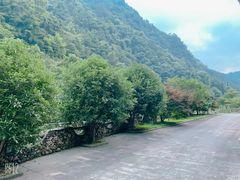 -花岩国家森林公园