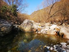 -黑河国家森林公园