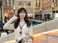 -澳门威尼斯人综合度假区
