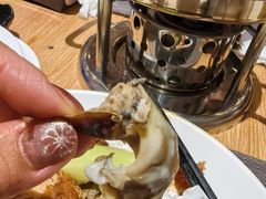 -齐河孔雀王温泉酒店·金孔雀自助百汇