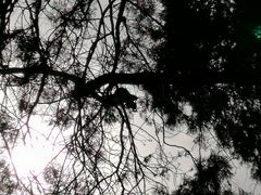 -峄山风景名胜区