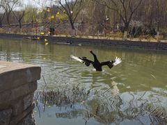 -南翠屏公园