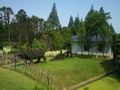 -上海长兴岛郊野公园