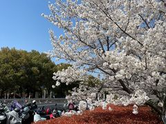 -山姆会员商店(邻瑞广场店)
