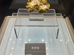 -安徽省地质博物馆