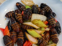 -渔娘渔家丹东海鲜(东直门店)