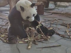 -泉州海丝野生动物世界