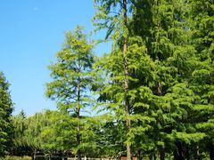 -白塘生态植物园