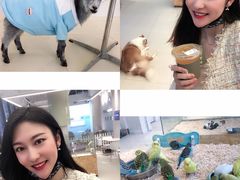 -怪兽屋·羊驼·猫咖·狗咖(俊华广场店)