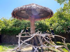 -上海野生动物园