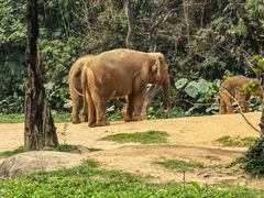 -兰剑驾校(汉阳校区)