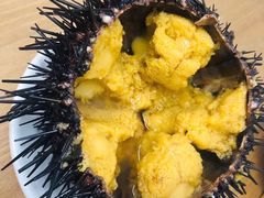 -海胆小馆(东北水饺·春柳店)